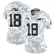 ＃18 Women's Nick Folk Arctic Camo Limited New York Jets 2024 Salute to Service Jersey