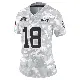 ＃18 Women's Nick Folk Arctic Camo Limited New York Jets 2024 Salute to Service Jersey