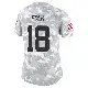 ＃18 Women's Nick Folk Arctic Camo Limited New York Jets 2024 Salute to Service Jersey