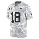 ＃18 Youth Nick Folk Arctic Camo Limited New York Jets 2024 Salute to Service Jersey