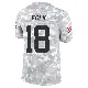 ＃18 Youth Nick Folk Arctic Camo Limited New York Jets 2024 Salute to Service Jersey